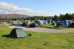 Camp pitch