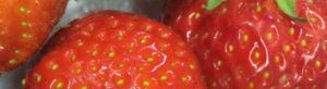 Alvie Strawberries