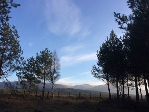 View over towards Cairngorms