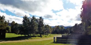 Electric & camp field pitches