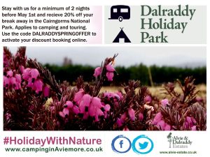 20% off Camping and Touring